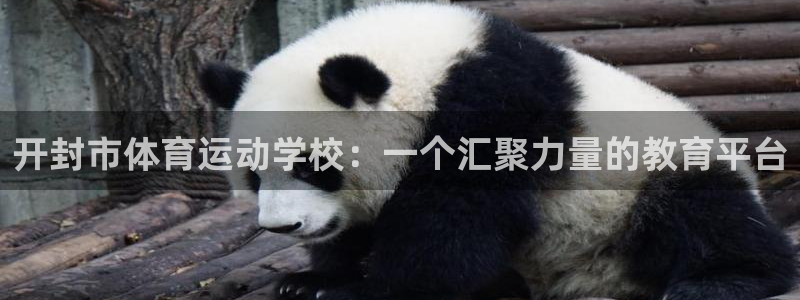 JJB竞技宝官网下载招商电话号码:开封市体育运动学校:一个汇