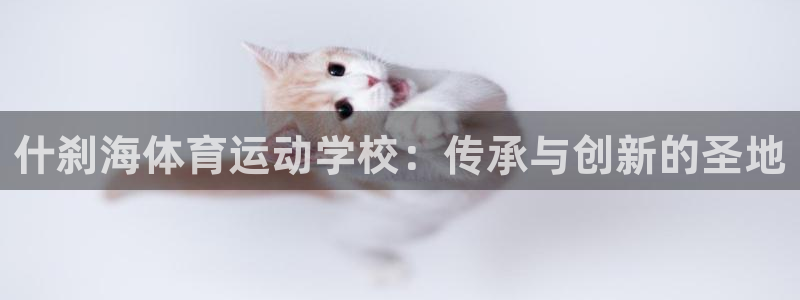 JJB竞技宝官方正版app集团官网首页网址:什刹海体育运动学